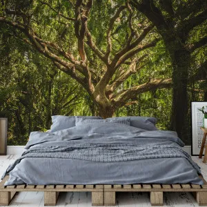 Shady Spot Wallpaper by Florabelle Living, a Artwork & Wall Decor for sale on Style Sourcebook