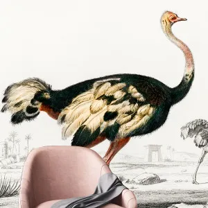 Shake Your Tail Feather Wallpaper by Florabelle Living, a Artwork & Wall Decor for sale on Style Sourcebook