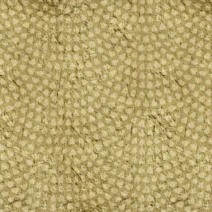 Skilpad Wallpaper by Florabelle Living, a Artwork & Wall Decor for sale on Style Sourcebook