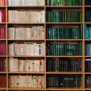 The Library Wallpaper by Florabelle Living, a Artwork & Wall Decor for sale on Style Sourcebook