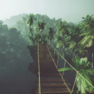 Tree Top Walkway Wallpaper by Florabelle Living, a Artwork & Wall Decor for sale on Style Sourcebook