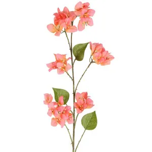 Bougainvillea Spray 118cm Salmon by Florabelle Living, a Plants for sale on Style Sourcebook