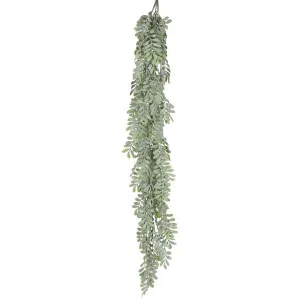 Pepper Fern Hanging Vine 115CM by Florabelle Living, a Plants for sale on Style Sourcebook