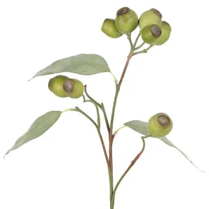 Gumnut Spray 65cm Green by Florabelle Living, a Plants for sale on Style Sourcebook