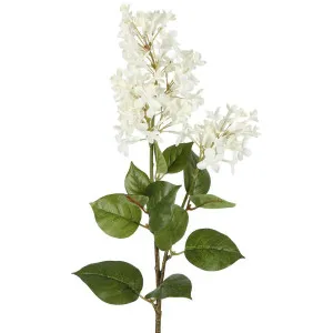 Lilac Spray 72cm White by Florabelle Living, a Plants for sale on Style Sourcebook