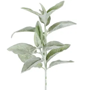 Lamb's Ear leaf Flocked Stem 71cm Green by Florabelle Living, a Plants for sale on Style Sourcebook