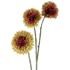 Mum Spray 90cm Green by Florabelle Living, a Plants for sale on Style Sourcebook
