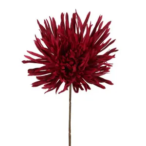 Mum Stem 71cm Burgundy by Florabelle Living, a Plants for sale on Style Sourcebook