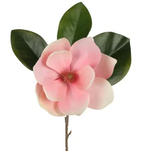 Soulangiana Magnolia Stem 60cm Pink by Florabelle Living, a Plants for sale on Style Sourcebook