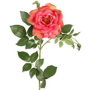 Chelsea Rose Stem 97cm Dark Pink by Florabelle Living, a Plants for sale on Style Sourcebook