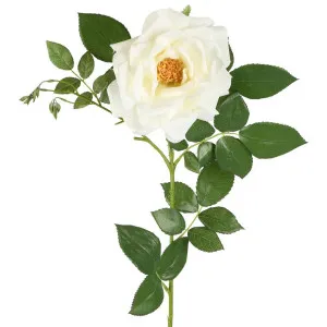 Chelsea Rose Stem 97cm White by Florabelle Living, a Plants for sale on Style Sourcebook