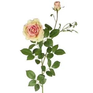 Darcey Rose Spray 100cm Pink Green by Florabelle Living, a Plants for sale on Style Sourcebook