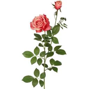 Darcey Rose Spray 100cm Dark Pink by Florabelle Living, a Plants for sale on Style Sourcebook