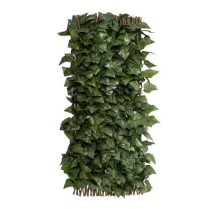Expanding Ivy Trellis UV Treated 2m by Florabelle Living, a Plants for sale on Style Sourcebook