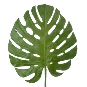 Monstera leaf 1.23m by Florabelle Living, a Plants for sale on Style Sourcebook