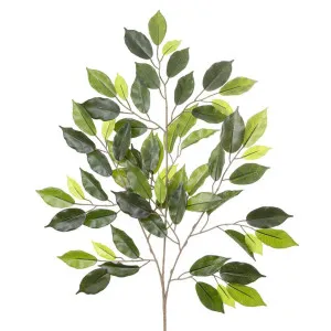 Ficus leaf Spray 75cm by Florabelle Living, a Plants for sale on Style Sourcebook