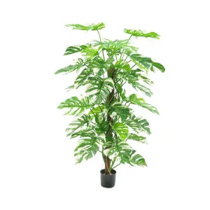 Variegated Split Philodendron W/48 Leaves Green by Florabelle Living, a Plants for sale on Style Sourcebook