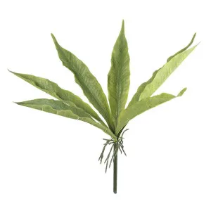 Foliage leaf with Roots 48cm by Florabelle Living, a Plants for sale on Style Sourcebook