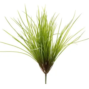 Grass Bush Green 45cm by Florabelle Living, a Plants for sale on Style Sourcebook