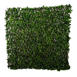Willow Trellis Fence UV Treated 1x2m by Florabelle Living, a Plants for sale on Style Sourcebook