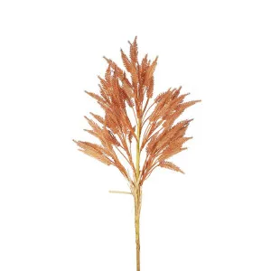 Wheat Stem 66cm Apricot by Florabelle Living, a Plants for sale on Style Sourcebook