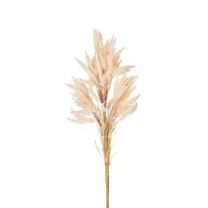 Wheat Stem 66cm Blush Pink by Florabelle Living, a Plants for sale on Style Sourcebook