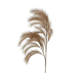 Wheat Rabbit Tail 1.2m Dark Natural by Florabelle Living, a Plants for sale on Style Sourcebook