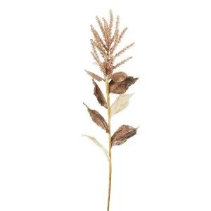 Wheat With Leaves 50cm Stem Brown by Florabelle Living, a Plants for sale on Style Sourcebook