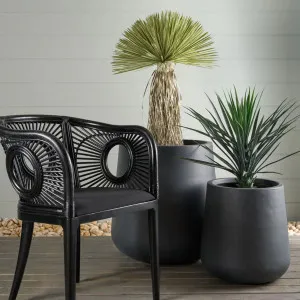 Solstice Dining Chair Black by OneWorld Collection, a Dining Chairs for sale on Style Sourcebook