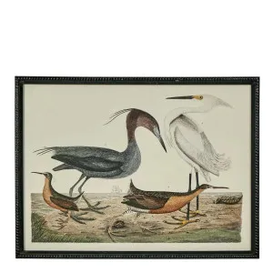 Graceful Cranes Wall Art E by OneWorld Collection, a Artwork & Wall Decor for sale on Style Sourcebook