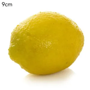 Lemon Yellow by OneWorld Collection, a Decor for sale on Style Sourcebook