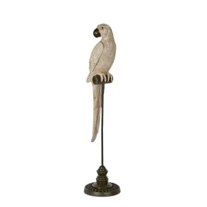 Amabela Parrot Medium Natural by OneWorld Collection, a Decor for sale on Style Sourcebook