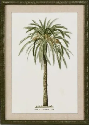 Apia Palms Wall Art C by OneWorld Collection, a Artwork & Wall Decor for sale on Style Sourcebook