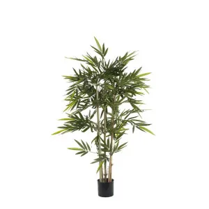 Bamboo Tree 1.2m by OneWorld Collection, a Plants for sale on Style Sourcebook