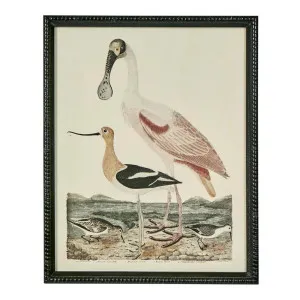 Graceful Cranes Wall Art D by OneWorld Collection, a Artwork & Wall Decor for sale on Style Sourcebook