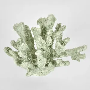 Marly Green Coral 21X19X14CM by OneWorld Collection, a Decor for sale on Style Sourcebook