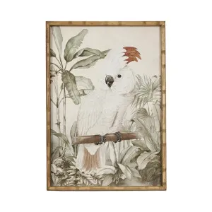 Jungle Cockatoo Wall Art C by OneWorld Collection, a Artwork & Wall Decor for sale on Style Sourcebook