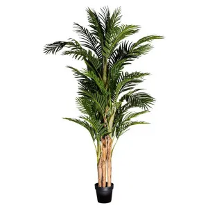 Palm Tree Real Touch 190cm by OneWorld Collection, a Plants for sale on Style Sourcebook