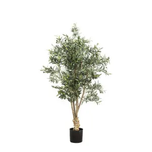 Olive Tree 1.5m by OneWorld Collection, a Plants for sale on Style Sourcebook