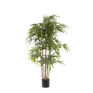 New Bamboo Tree 1.5m by OneWorld Collection, a Plants for sale on Style Sourcebook