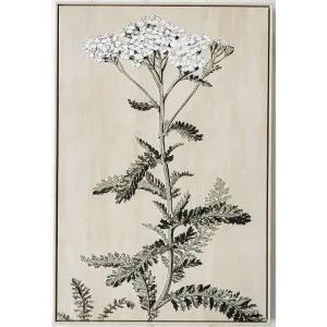Wildflower Spray Wall Art by OneWorld Collection, a Artwork & Wall Decor for sale on Style Sourcebook