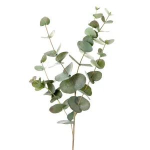 Eucalyptus 86cm by OneWorld Collection, a Plants for sale on Style Sourcebook