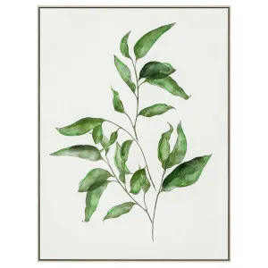 Botanica Leaf B Wall Art by OneWorld Collection, a Artwork & Wall Decor for sale on Style Sourcebook