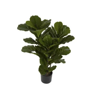 Fiddle Leaf Tree 93cm by OneWorld Collection, a Plants for sale on Style Sourcebook