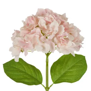 Hydrangea Stem Soft Touch 50cm Pink by OneWorld Collection, a Plants for sale on Style Sourcebook