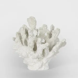 Bay White Coral 19X18X17CM by OneWorld Collection, a Decor for sale on Style Sourcebook