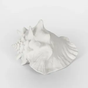 Sandy White Sea Snail 21X19X13CM by OneWorld Collection, a Decor for sale on Style Sourcebook