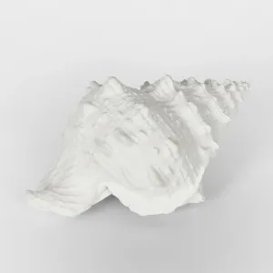 Sammy White Sea Snail 21X14X12CM by OneWorld Collection, a Decor for sale on Style Sourcebook