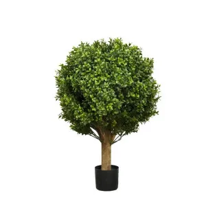Boxwood Ball Tree 65cm by OneWorld Collection, a Plants for sale on Style Sourcebook