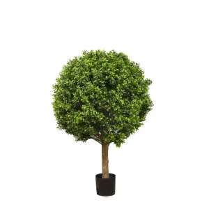 Boxwood Ball Tree 75cm by OneWorld Collection, a Plants for sale on Style Sourcebook